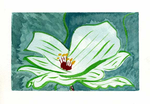 White Marionette Flower